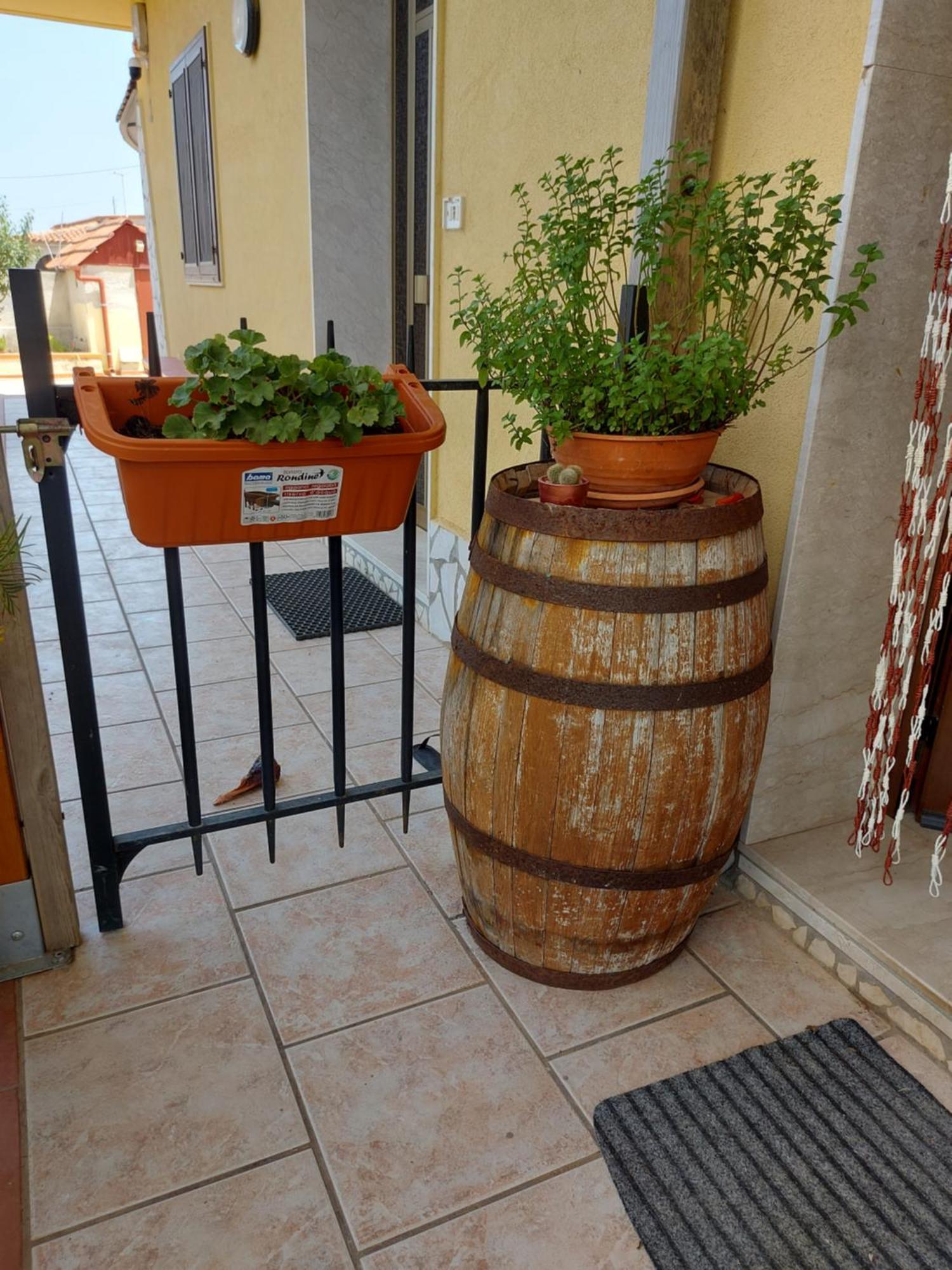 Elorina Sicily Home Syracuse Extérieur photo